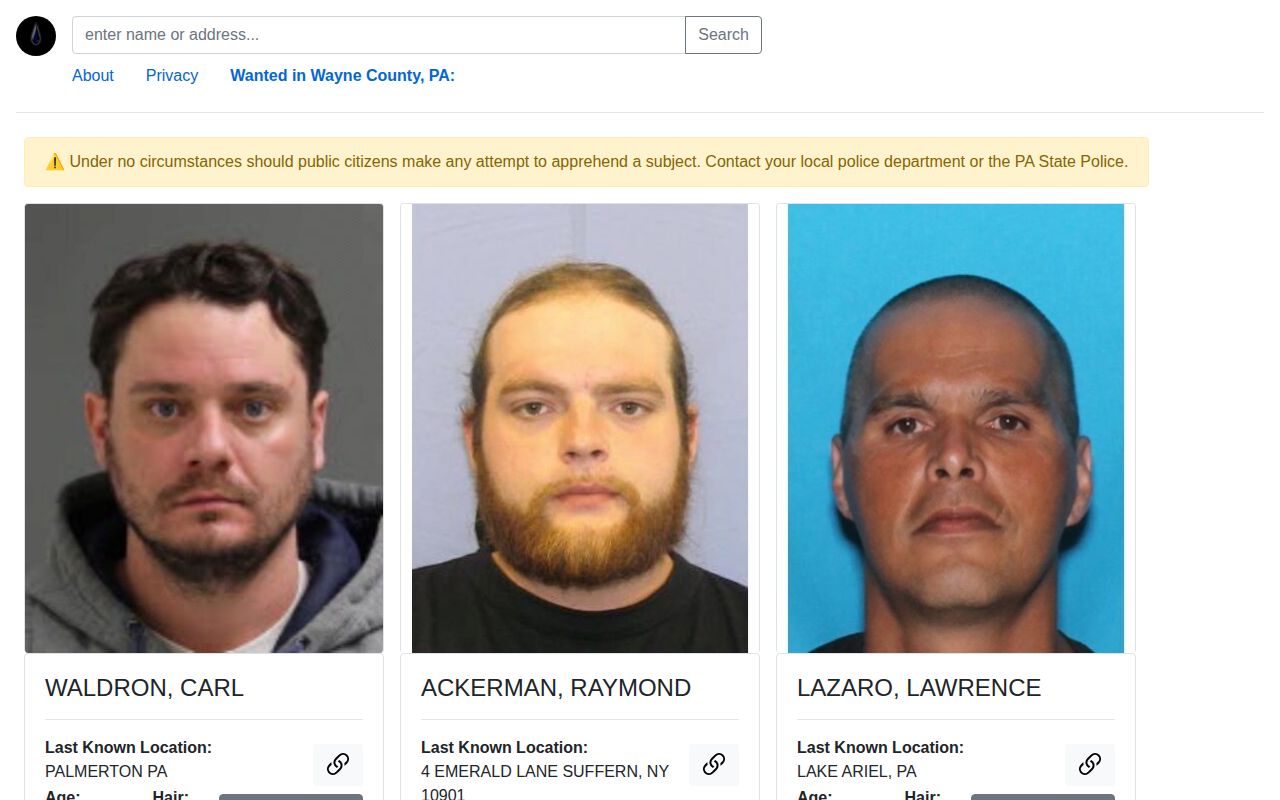 Wayne County sheriff warrant-record search portal